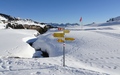 Alp Fursch