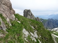 Rotenchaste