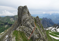 Rotenchaste
