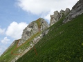 Rotenchaste