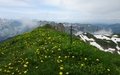 Schafberg