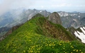 Schafberg