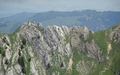 Stierengrat