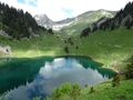 Walopsee