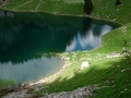 Walopsee