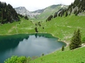 Walopsee
