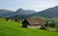 Lutenwil