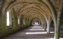Fountains Abbey: The Cellarium