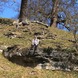 Stijn in Studley Royal Park