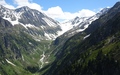 Fellilücke
