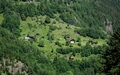 Waldi