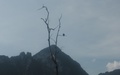 Khao Sok