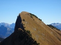 Tierberg