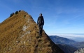 Tierberg