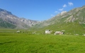 Engstligenalp