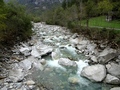 Maggia