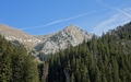 Tomlishorn