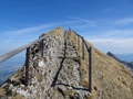 Tomlishorn