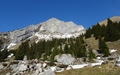 Widderfeld