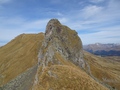 Hörnli