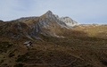 Tschirpen