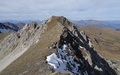 Tschirpen