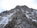 Tschirpen