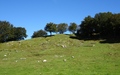 Alpe Bolla