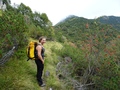 Cima dell'Oress