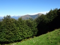 Monte Bar