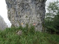 Monte dei Pizzoni