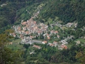 Puria