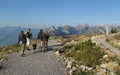 Hoher Kasten
