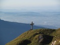 Arvikreuz