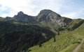 Widderfeldstock
