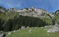 Wild landschap