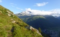 Gemsstock