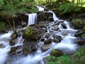 Torrent de Tière
