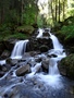 Torrent de Tière