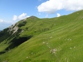 Tälihöhi
