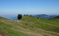 Altenhofalpe