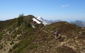 Altgerachkopf