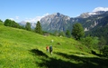 Doseggalpe