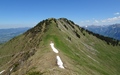 Guntenkopf