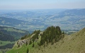 Guntenkopf