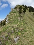 Kuhspitze