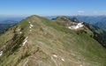 Leuenkopf