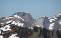 Matona