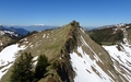 Sererfalben