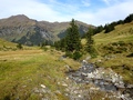 Hohbach